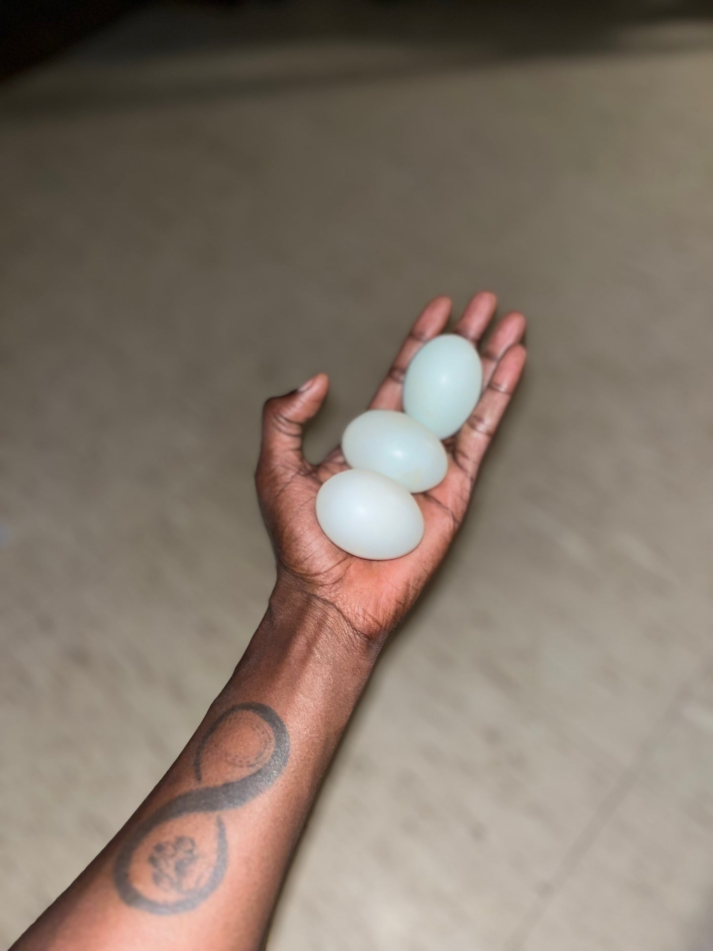 Duck Eggs